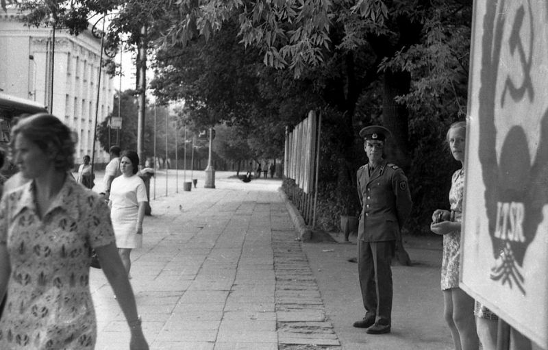 “Уничтожили за один вечер”. Как 15 лет назад Советская площадь осталась без единого дерева