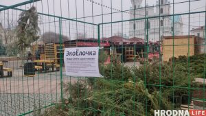 Не продают, а только показывают. На Советской в Гродно работает необычный елочный базар Не продают, а только показывают. На Советской в Гродно работает необычный елочный базар