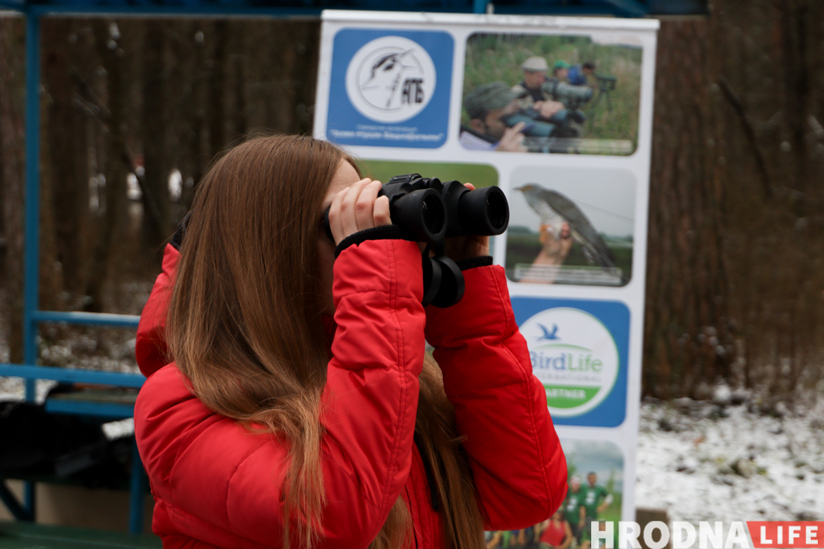 Не карміць, а падкормліваць. 8 відаў кармушак і чэк-ліст па ежы для птушак ад арнітолагаў