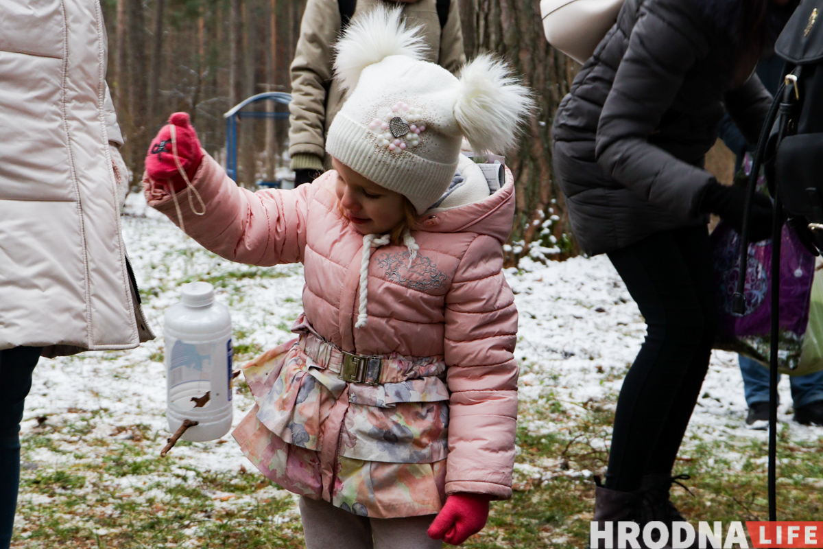 Не карміць, а падкормліваць. 8 відаў кармушак і чэк-ліст па ежы для птушак ад арнітолагаў