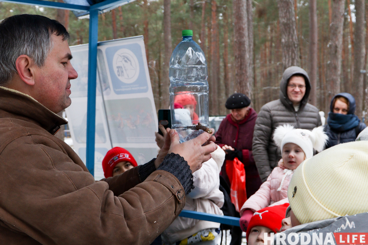 як правільна зрабіць кармушку для птушак з бутэлькі