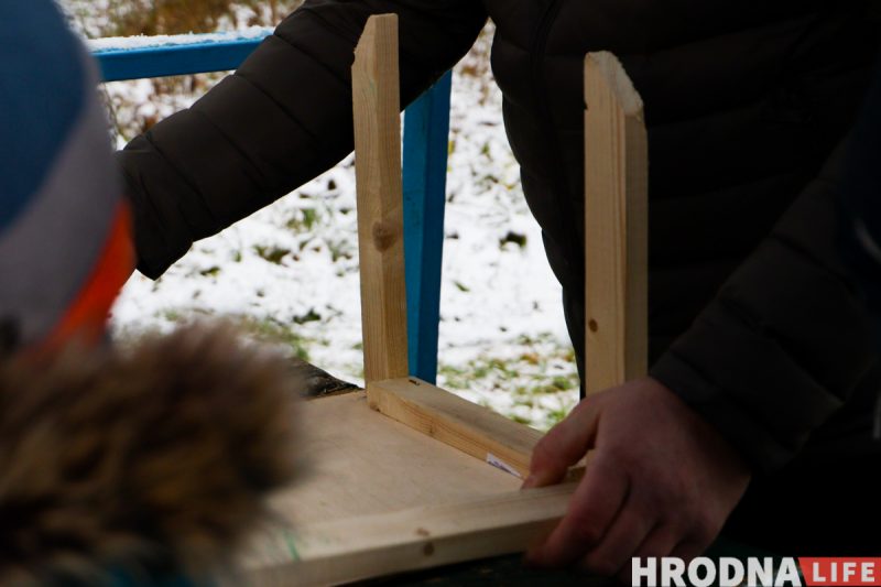 Не карміць, а падкормліваць. 8 відаў кармушак і чэк-ліст па ежы для птушак ад арнітолагаў