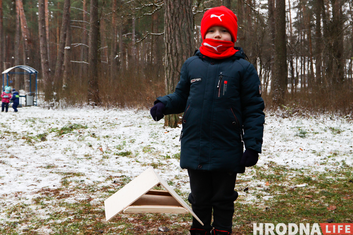 інструкцыя як зрабіць кармушку для дробных птушак з фанеры