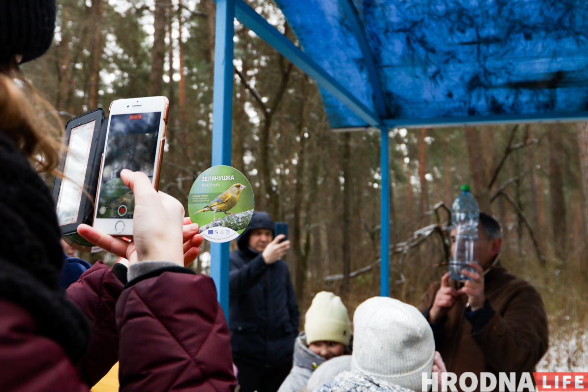 чым карміць птушак зімой - майстар-клас