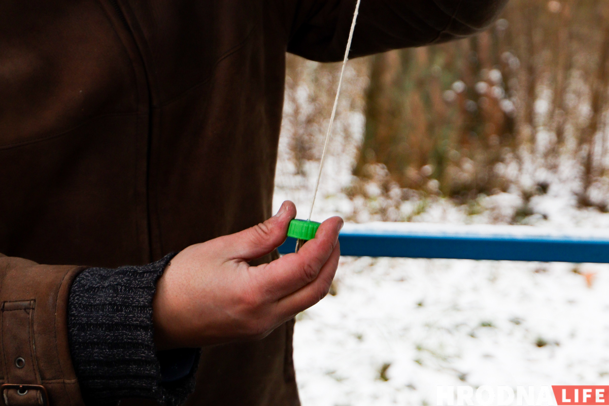 Не карміць, а падкормліваць. 8 відаў кармушак і чэк-ліст па ежы для птушак ад арнітолагаў