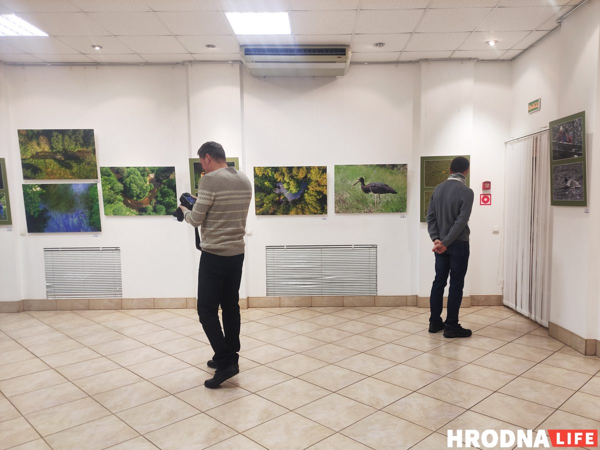 В Гродно открыли польско-белорусскую выставку о пущах. С ее помощью планируют развивать туризм