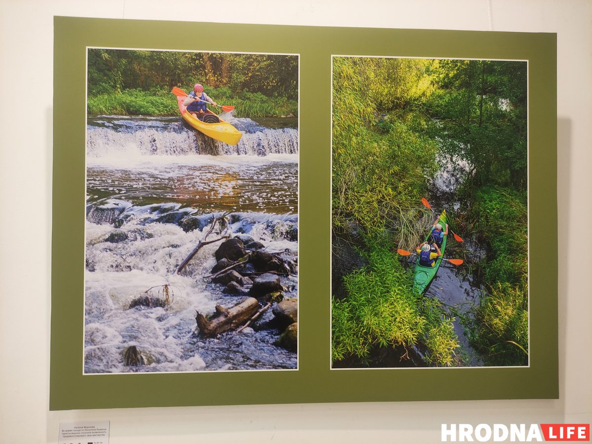 В Гродно открыли польско-белорусскую выставку о пущах. С ее помощью планируют развивать туризм