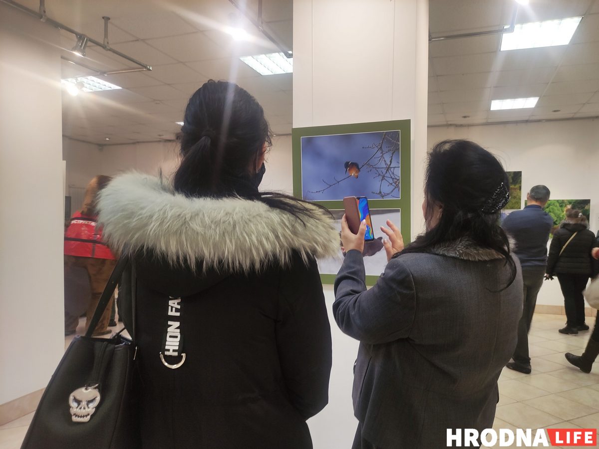 В Гродно открыли польско-белорусскую выставку о пущах. С ее помощью планируют развивать туризм