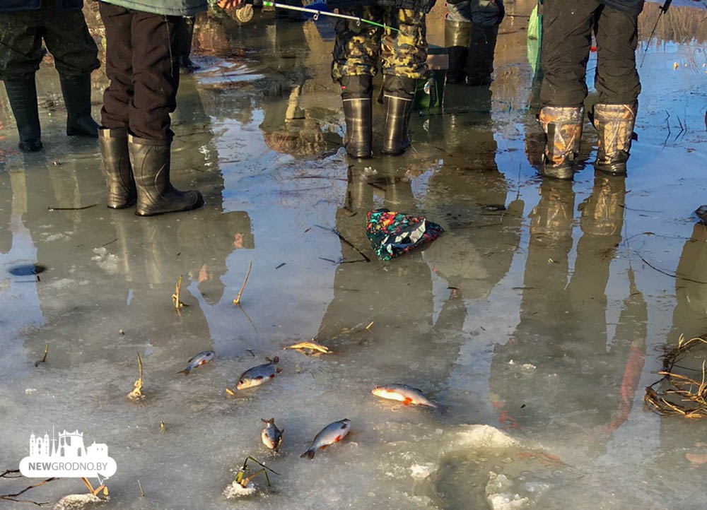 Под Гродно снова массовый лов рыбы. Год назад из-за такого распилили лед