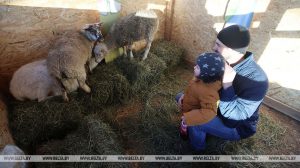 Возле Коложи появился живой вертеп, а к Рождеству в церкви установили копию Даров Волхвов с Афона Возле Коложи появился живой вертеп, а к Рождеству в церкви установили копию Даров Волхвов с Афона