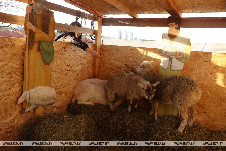 Возле Коложи появился живой вертеп, а к Рождеству в церкви установили копию Даров Волхвов с Афона