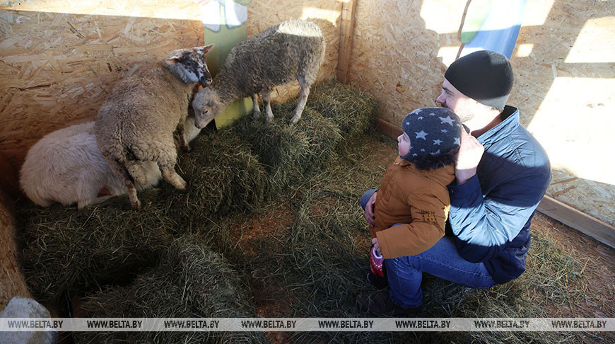 Возле Коложи появился живой вертеп, а к Рождеству в церкви установили копию Даров Волхвов с Афона