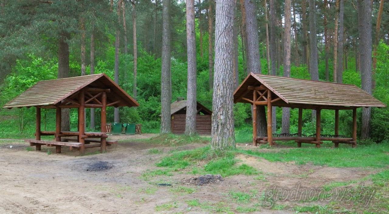 Какие зеленые зоны появятся в Гродно? Идут общественные обсуждения