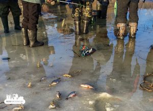 В Беларуси запретят ловить рыбу в зимовальных ямах. Но только со следующего сезона