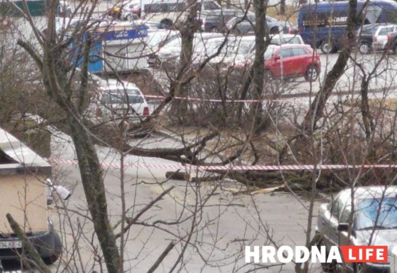 Без электричества осталось восемь населенных пунктов. Что сильный ветер еще повредил на Гродненщине