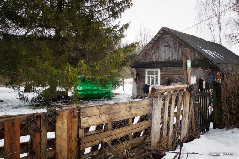12 гадоў таму быў паважаны гадавальнік. Што вядома пра заводчыцу сабак, якая трымала ў страху вёску пад Карэлічамі