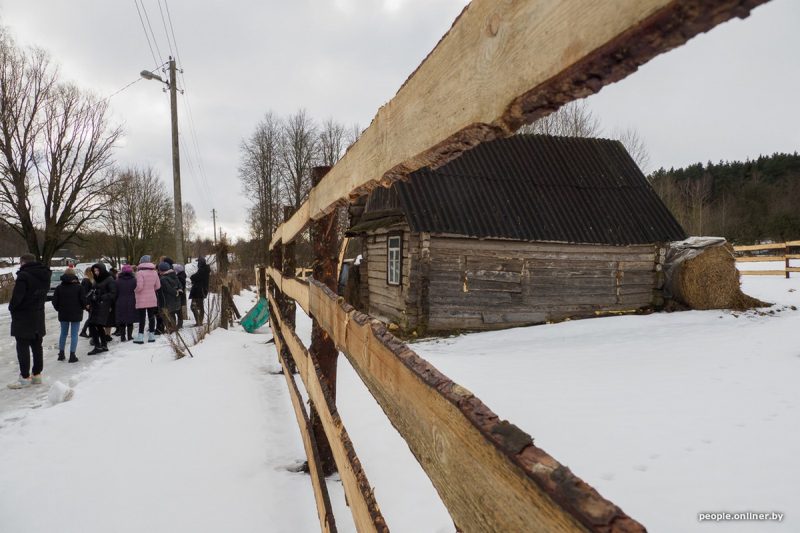 12 гадоў таму быў паважаны гадавальнік. Што вядома пра заводчыцу сабак, якая трымала ў страху вёску пад Карэлічамі