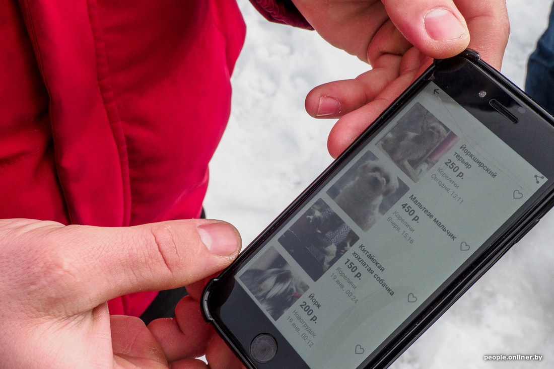 12 гадоў таму быў паважаны гадавальнік. Што вядома пра заводчыцу сабак, якая трымала ў страху вёску пад Карэлічамі