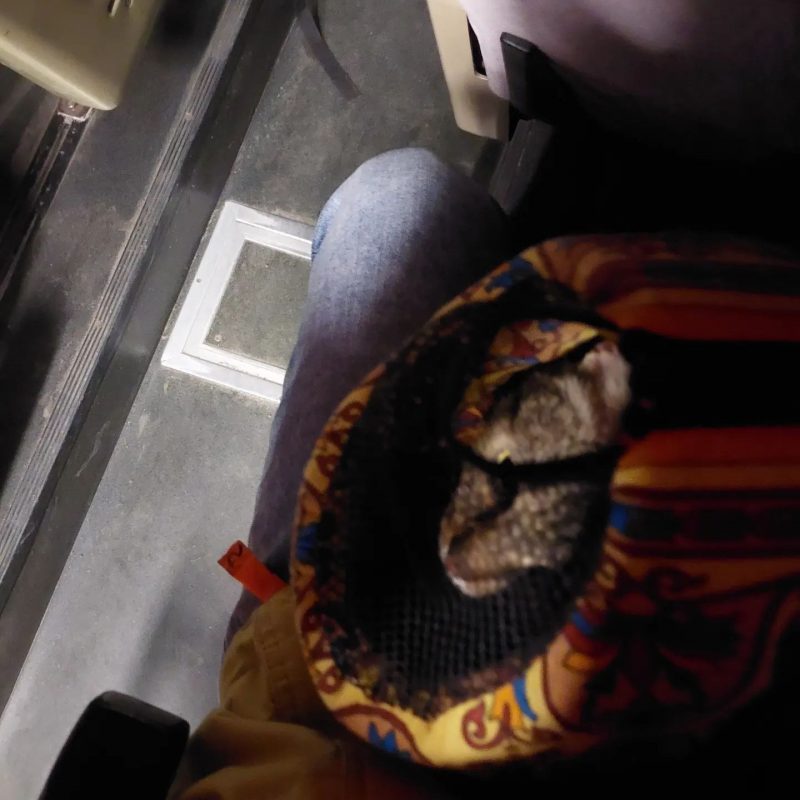 Эвакуявалі катоў і правяралі бамбасховішча. Як жыхары Украіны пражылі першыя дні вайны?