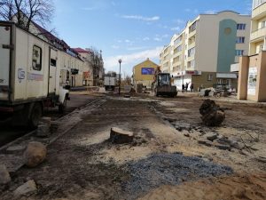 На Ожешко спилили старые каштаны. Высадят ли замену?