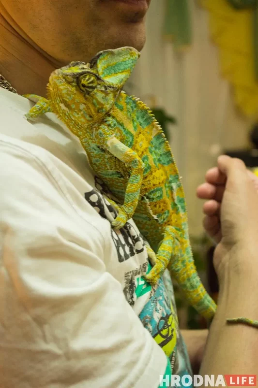 "Кто-то кого-то всегда может съесть". Как гродненец держит дома экзотических животных