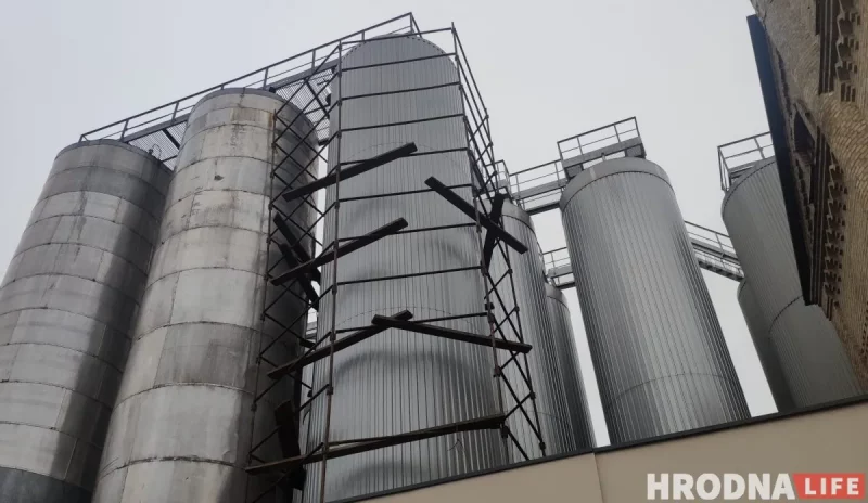 Финская Olvi потеряет 33,2% продаж после ухода из Беларуси. Что будет с сотрудниками “Лидского пива”, не ясно