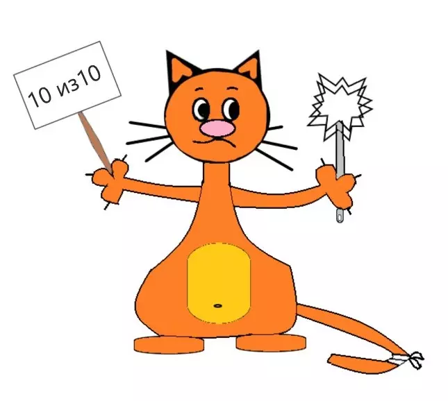 Велосипед и лейка для душа. Что ещё нашёл инспектор-кот в туалетах кофеен Гродно