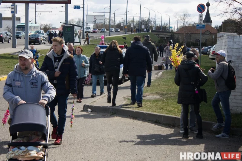 С белорусскими “котиками” вместо пальмовых веток. Православные в Гродно отметили Вербное воскресение