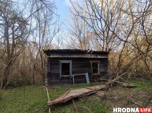 В Гродно через суд ликвидируют еще две общественные организации - спортивную и экологическую Деревня. Иллюстративное фото Hrodna.life