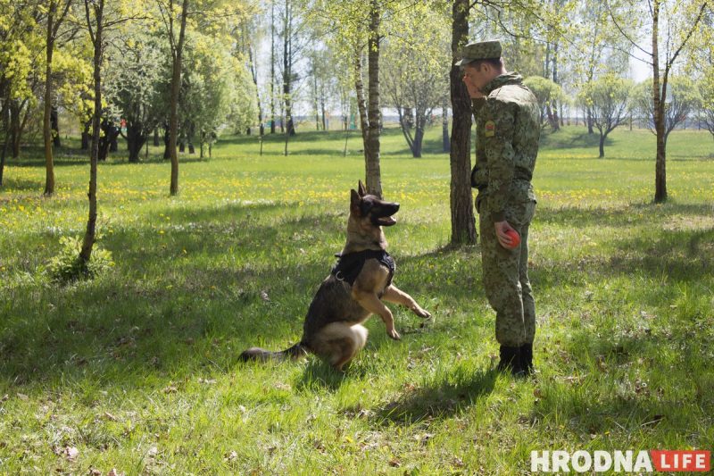 Шествие, концерт и выставка оружия. В Гродно отметили День Победы, а Караев рассказал о "призраке фашизма недалеко от нас"
