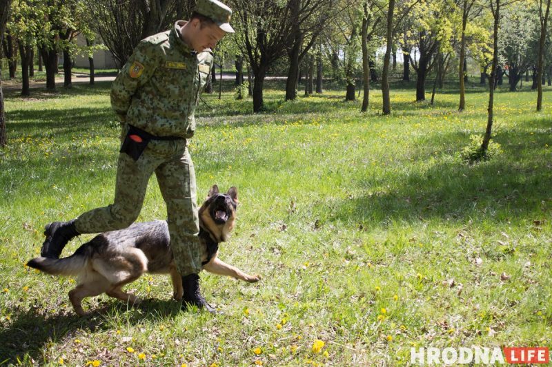 Шествие, концерт и выставка оружия. В Гродно отметили День Победы, а Караев рассказал о "призраке фашизма недалеко от нас"
