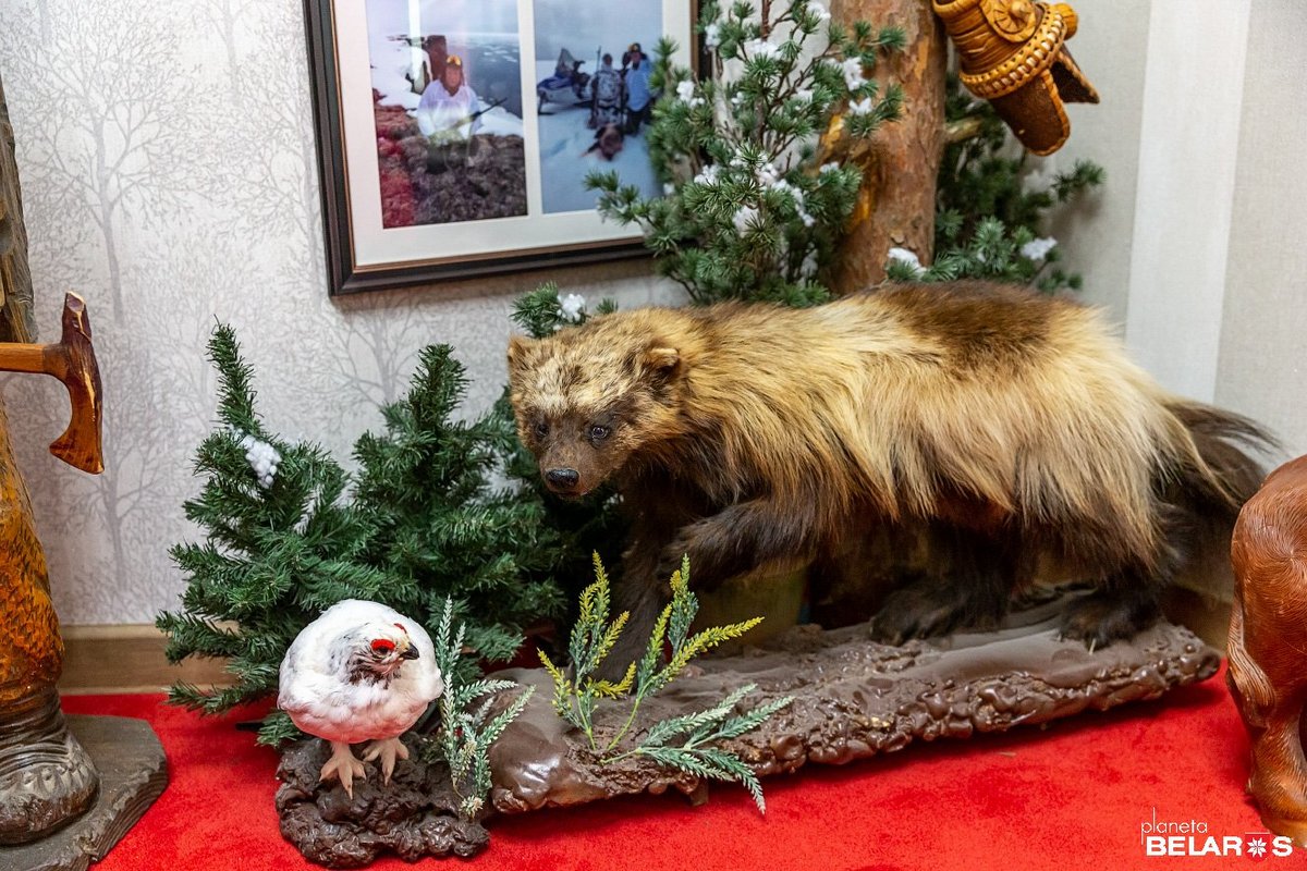 Отцовская сабля, дедова шашка и берестовицкий волк. Анатолий Гришук рассказал, как семейная история стала городским музеем