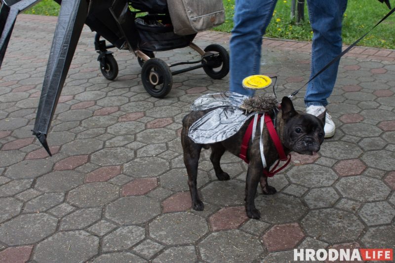 Пчёлы, танки, Мойдодыр. День семьи в Гродно отметили парадом колясок