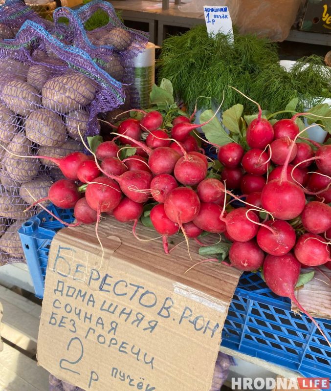 Клубника по 29 рублей, помидоры от 5,5. Что сколько стоит на рынках Гродно
