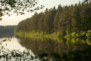 Ян і Цэцылія, плошча Герояў і беларускі Праванс: што хаваюць вёскі і мястэчкі над Нёманам Неман путешествие Элиза Ожешко Нёман Над Нёманам Эліза Ажэшка