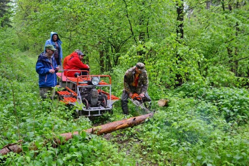 озера узкоколейка дрезина