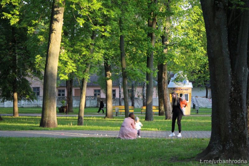 "Не засаджваць горад лесам, а добраўпарадкаваць тое, што ёсць". Як будуць азеляняць Гродна да 2030 года