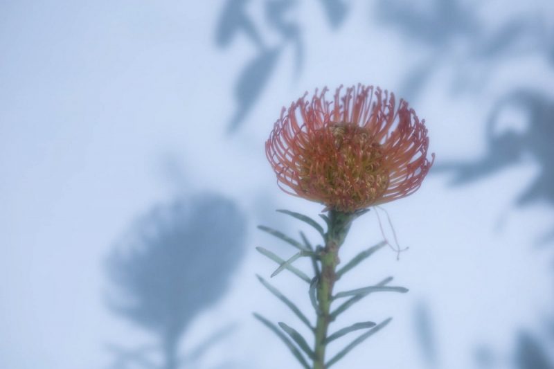 «Быць жанчынай - ужо фактар рызыкі». Анколаг расказаў, як лечаць рак малочнай залозы, чаму хвароба памаладзела і навошта анкахірургу быць яшчэ і псіхолагам