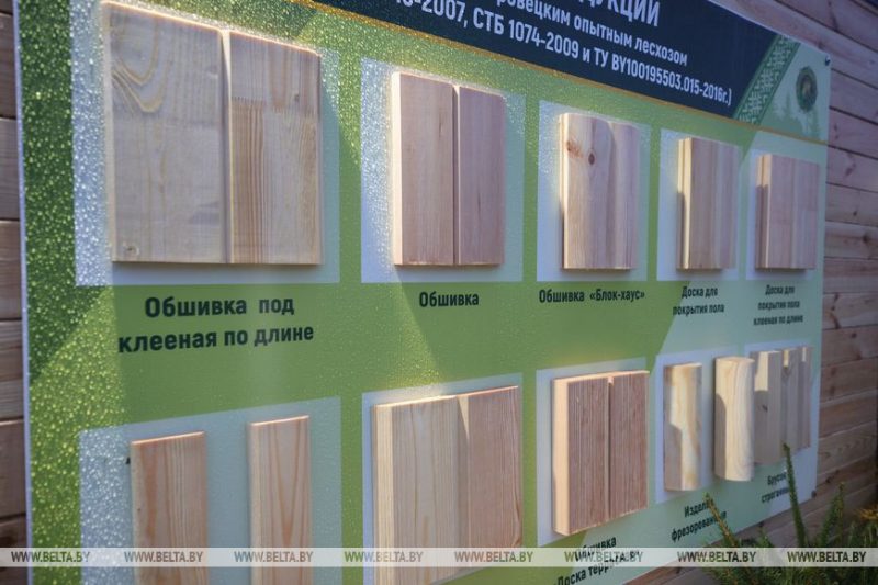 Шоурум и турагентство в одном. Что можно купить на площадке гродненского лесхоза на Южном рынке