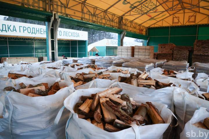 Шоурум и турагентство в одном. Что можно купить на площадке гродненского лесхоза на Южном рынке