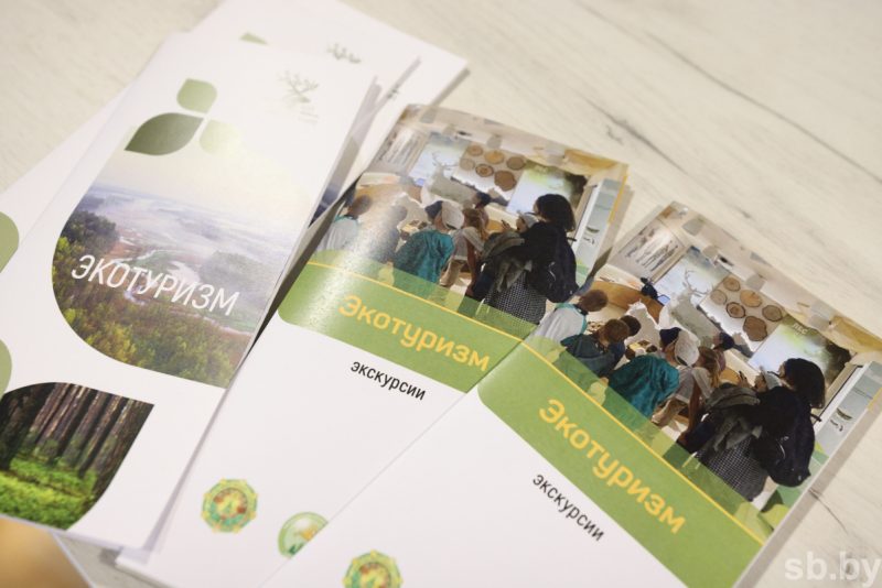 Шоурум и турагентство в одном. Что можно купить на площадке гродненского лесхоза на Южном рынке