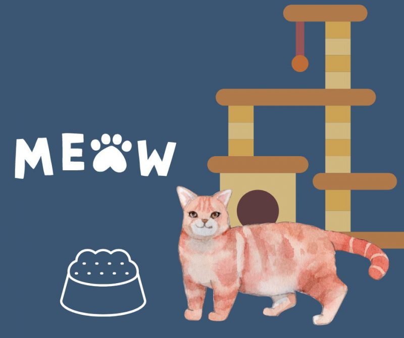 корм для животных беларусь цены исчез из продажи