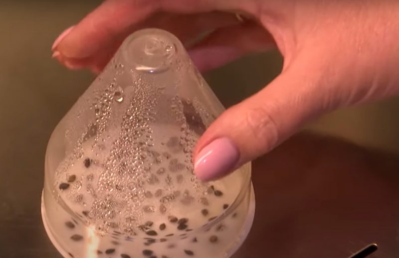 Зима - время сбора урожая. Как в Гродненской области выращивают шишки для всей Беларуси