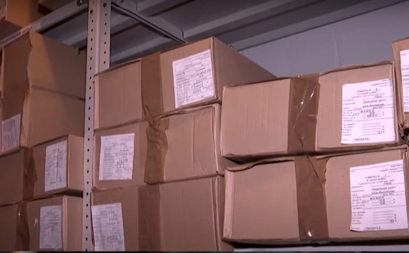 Зима - время сбора урожая. Как в Гродненской области выращивают шишки для всей Беларуси