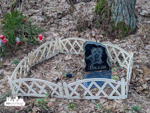 кладбище домашних животных