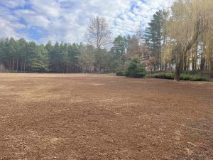 Территории на месте профилактория "Гродно Азот"