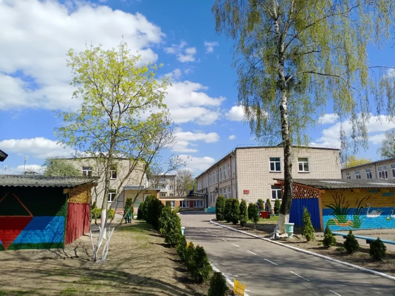 Во дворе детского сада в Гродно спилят пять деревьев Территория детского сада 40 в Гродно, где спилят деревья