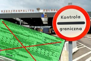 зеленая карта