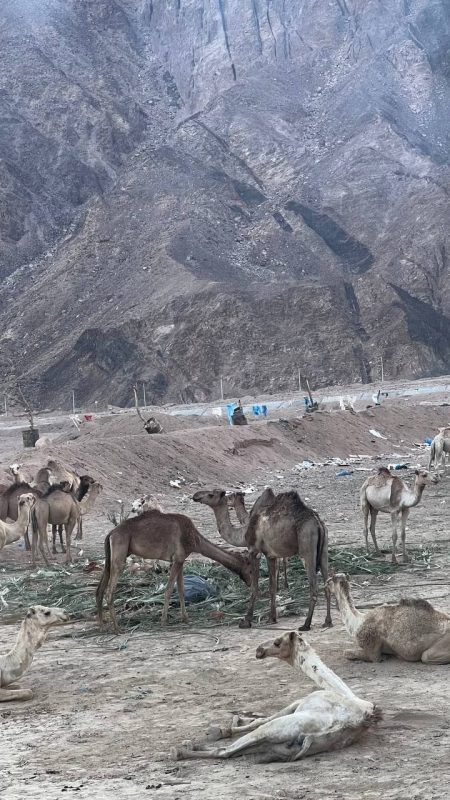 Гродзенка паехала ў Егіпет без грошай з двума дзецьмі - вучыць чужых дзяцей анатоміі