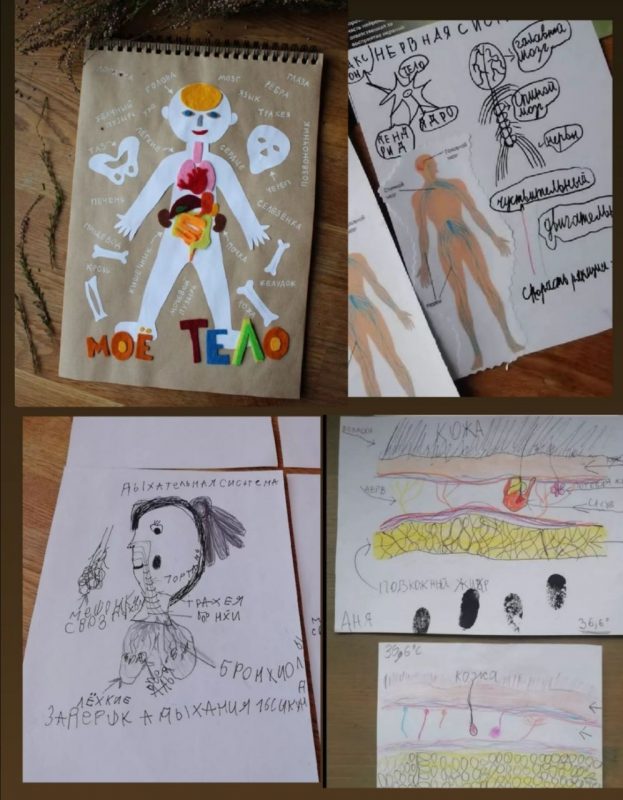 Гродзенка паехала ў Егіпет без грошай з двума дзецьмі - вучыць чужых дзяцей анатоміі